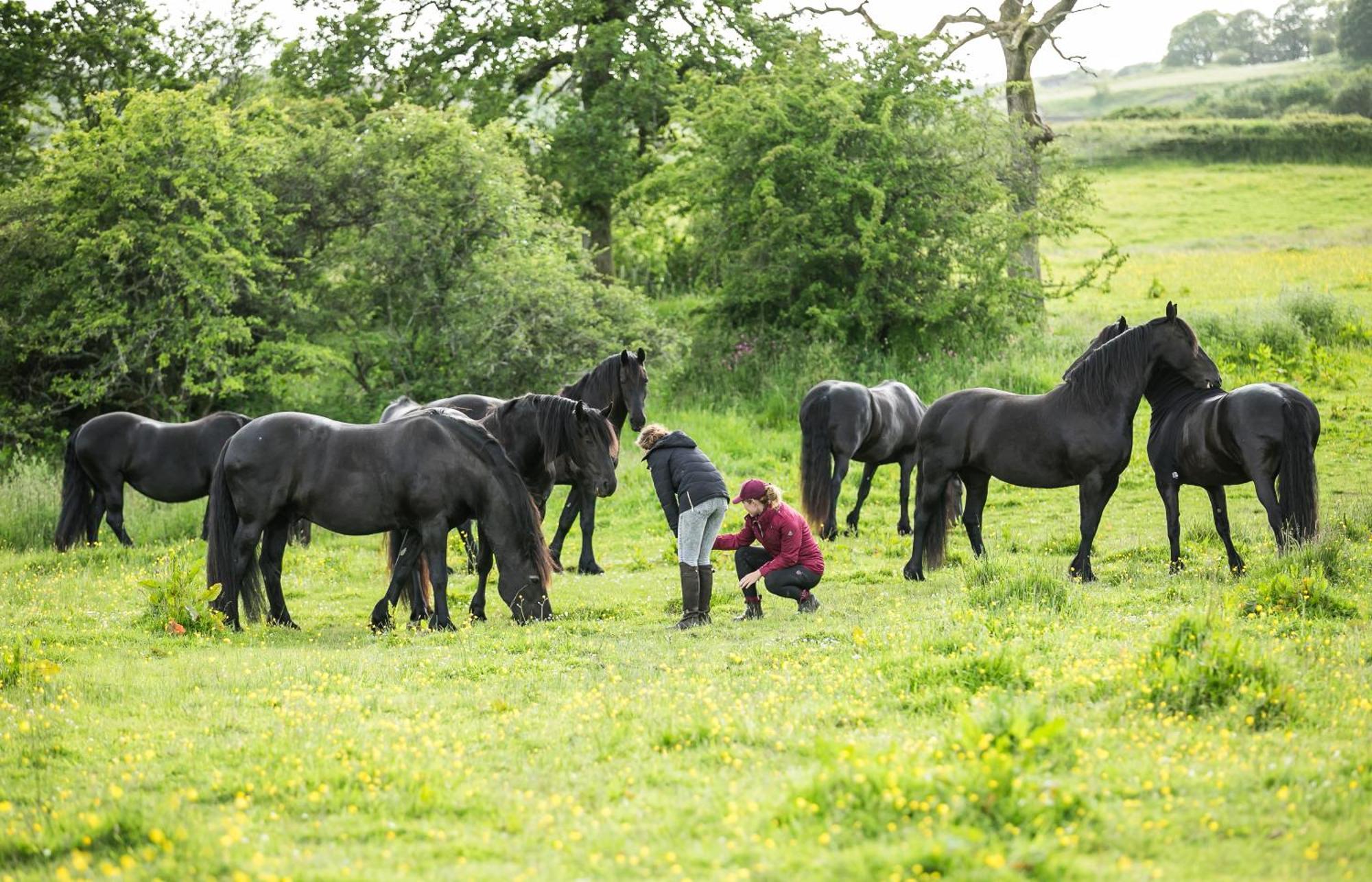 Greenbank Farm Holidays Cartmel Buitenkant foto