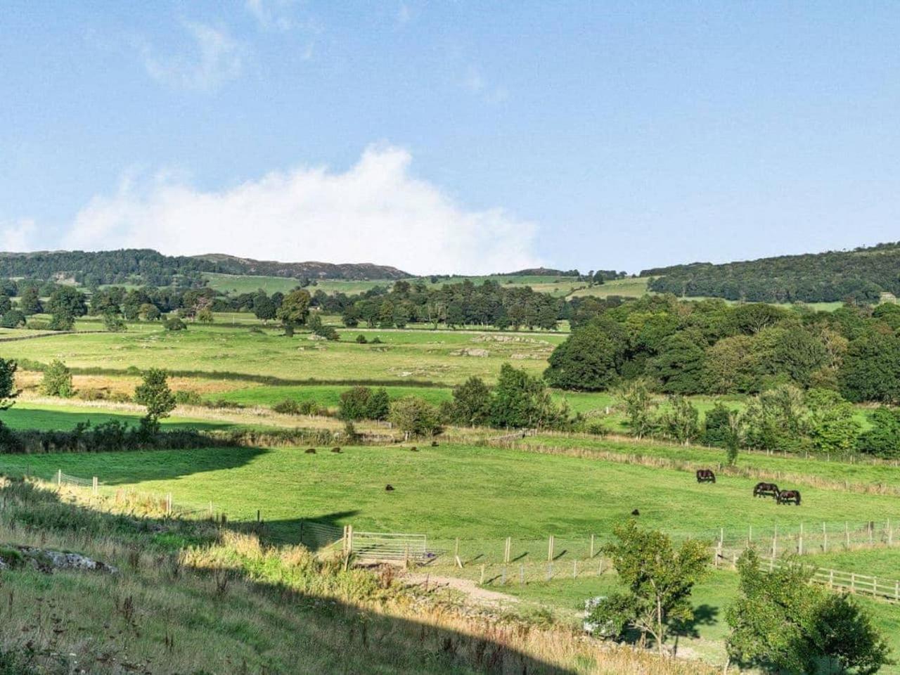 Greenbank Farm Holidays Cartmel Buitenkant foto