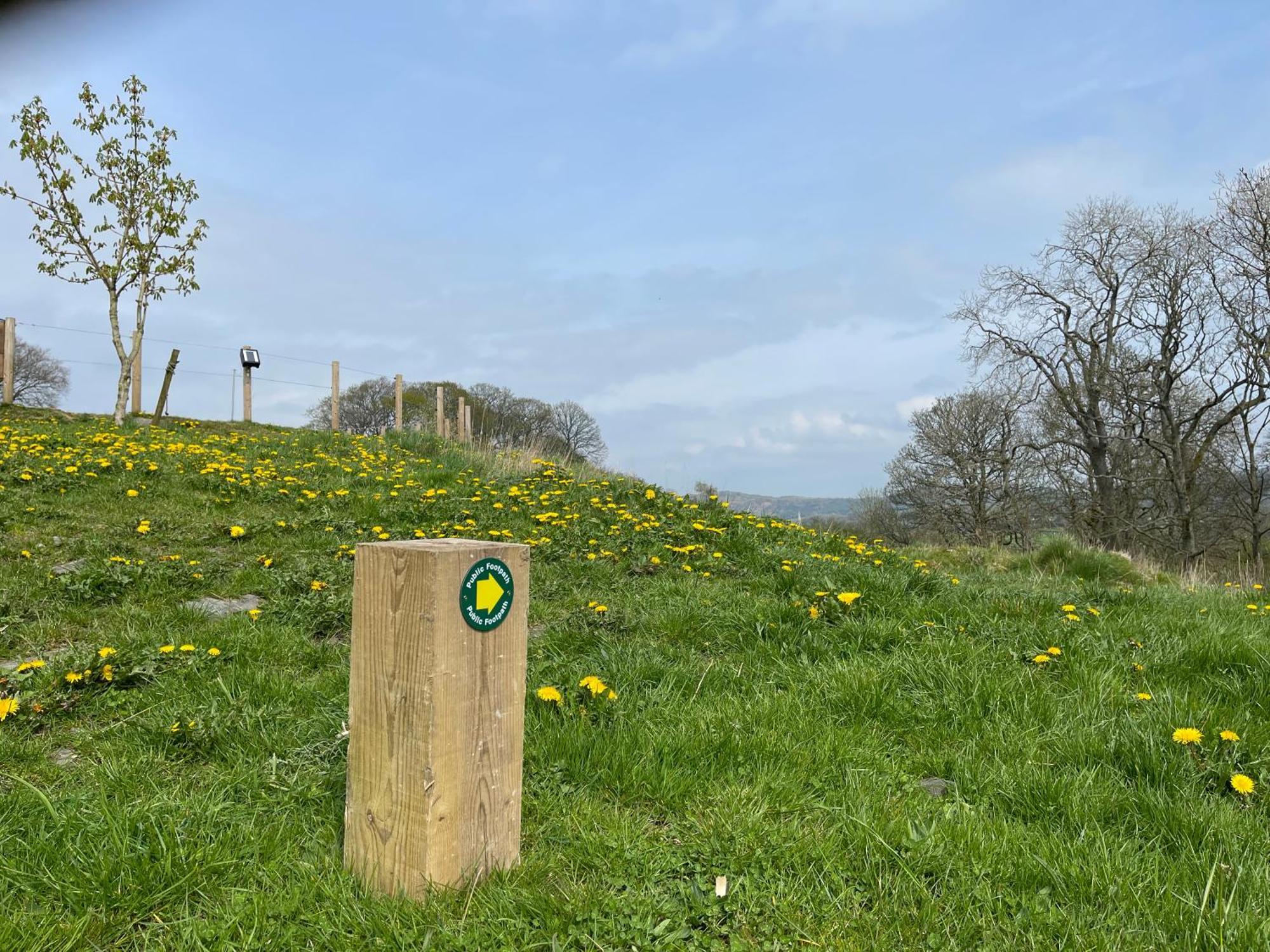 Greenbank Farm Holidays Cartmel Buitenkant foto